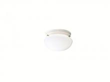  206WH - Flush Mount 1Lt